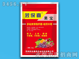 ����-�|��ϲ-�(y��ng)�ⴺ��