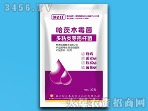 哈茨木霉菌+多粘類芽孢桿菌-純爺們-陽光春雨