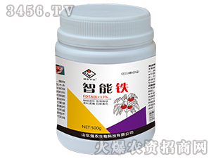 �����F-����(l��)�S�r(n��ng)-��(qi��ng)�r(n��ng)����