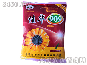 ���A909-���׷N��-��ɷN�I(y��)