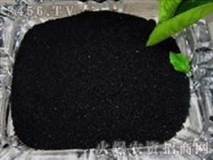 ���I(y��)�ø�ֲ���-����