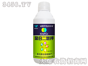 �ۺ϶����-�֠���(y��u)