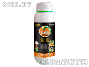 ̼��-ϲ�R�f��-������