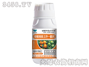 500ml����������ɫһ���`-�֠���(y��u)