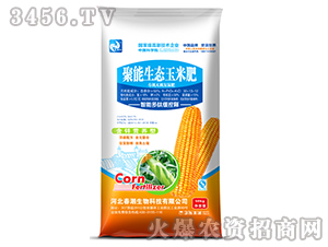 �������B(t��i)���׷�-�����t-����