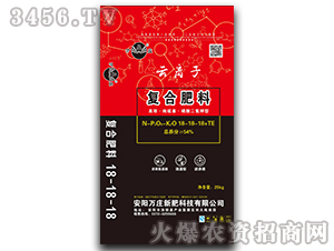 ���x�ӏͺϷ���18-18-18+TE-�f�f