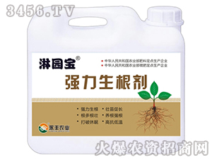 強(qiáng)力生根劑-永豐農(nóng)業(yè)