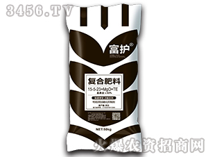 ������͏ͺϷ���15-5-23+MgO+TE-���o-����