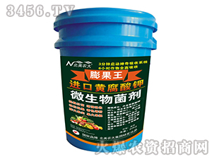 �M(j��n)���S�����΢�������-�����-�����r(n��ng)��