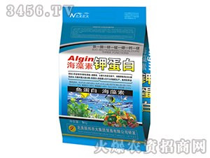 ������⛵��ף��_ʩ�ʣ�-�����r(n��ng)��