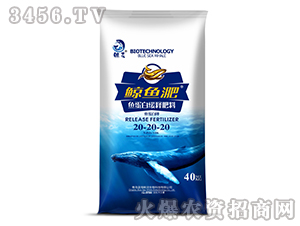 �~���׾�ጷ���20-20-20-�L�~��-����