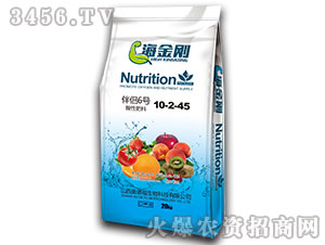 ��H6̖10-2-45-������-�W�¸�