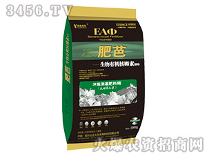 �ʰ�-���_(t��i)��