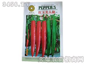 �t�����˽�-�����N��-�A��N�I(y��)