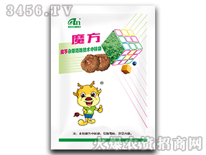 ħ��-Ħ���s�ݷ������g(sh��)�������D(zhu��n)��-���r(n��ng)