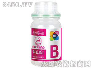 �Ǵ���-Ĳɽ�t-���p��