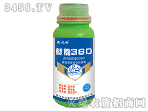 ����360-�����a-���ؿ�