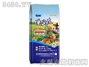 �ͺϵ���-ɵ����-�ݵ���