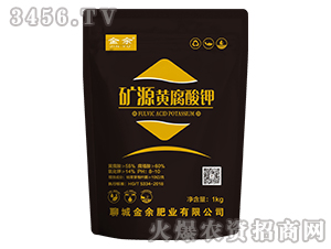 �VԴ�S�����-����