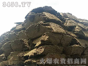 �ЙC(j��)����-��Ⱥ�r(n��ng)�I(y��)