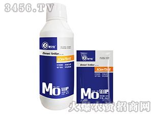 �f��-�ÌW��