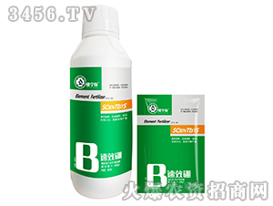 ��Ч��-�ÌW��