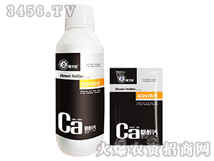 �Ǵ��}-�ÌW��