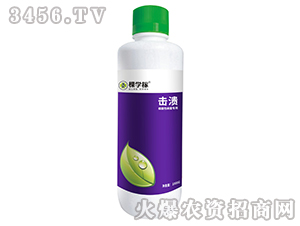 ��������(x��)���Բ������ã�-�ÌW(xu��)��