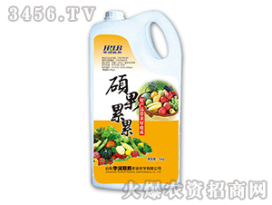 �T������-�A��(r��n)(li��n)��