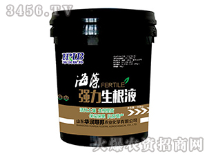 ���及(qi��ng)������Һ-�A��(r��n)�s��