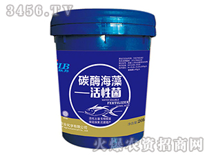 ̼ø������Ծ�-�A��(r��n)�s��