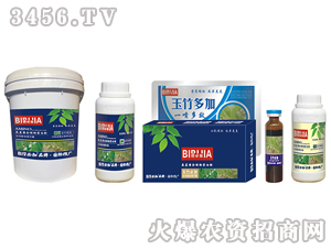 ����ؼ�-�κ�����