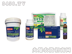 ���ױؼ�-�κ�����