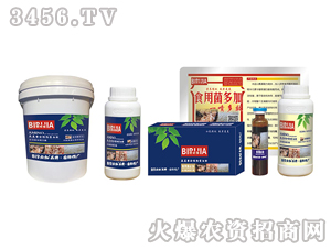 ʳ�þ��ؼ�-�κ�����