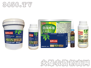 ���L�ؼ�-�κ�����