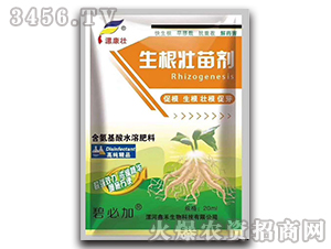 ��(qi��ng)���������焩-�𿵉�-�κ�