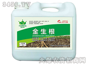 ������-�����S