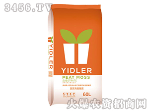 �M(j��n)��̦�\��̿������|(zh��)-���