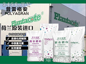 �ͺϷ���-���׸�-���ϻ���