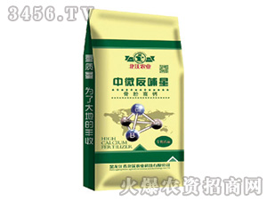 ��΢������-�����r(n��ng)�I(y��)