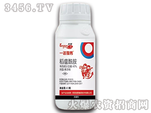 ��������-һ�Z��(d��)��-����ֲ��