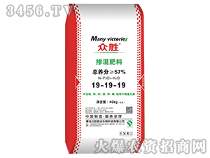 �������19-19-19-����