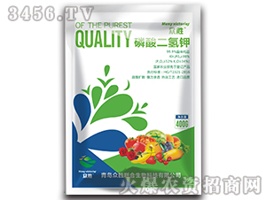 ��������-����