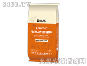 ������}����-ɽ���λ�