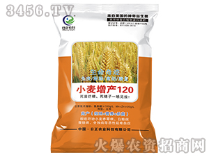 С�����a(ch��n)120��һ��-�����r(n��ng)��