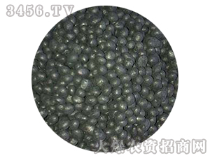 ̿�����w��-�𚤻���