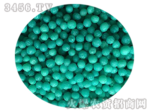 120���Ĥ����w��-�𚤻���