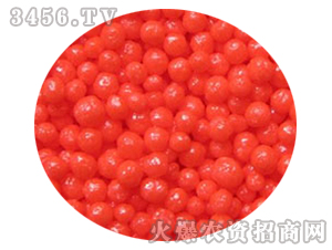 60���Ĥ�w��-�𚤻���