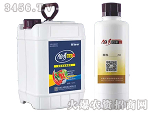 �������-�I(l��ng)����S-���S