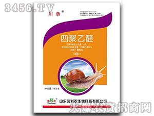 6%�ľ���ȩ�w����-��ȭ-�P���r 